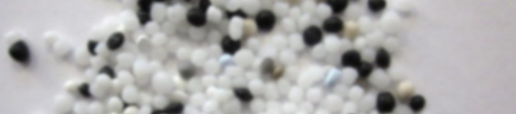 Ensace GmbH